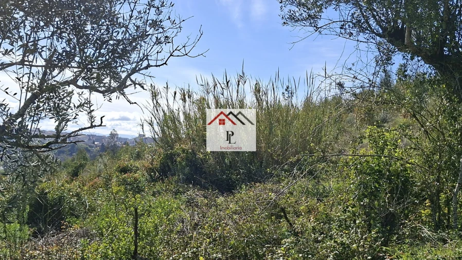 Terreno para Venda em Eiras e São Paulo de Frades Foto 5