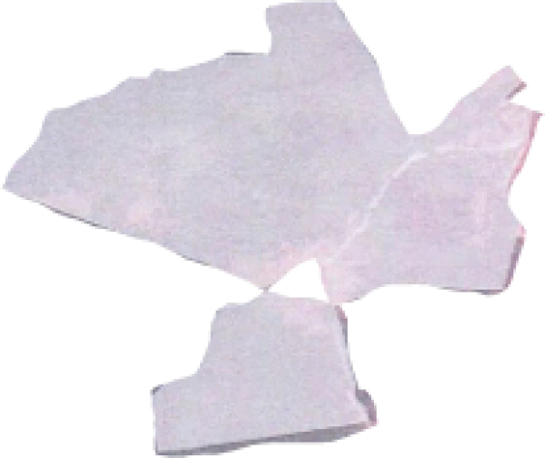 Terreno para Venda em Eiras e São Paulo de Frades Foto 19