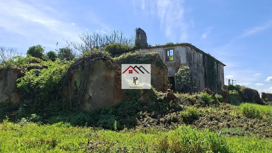 Terreno para Venda em Eiras e São Paulo de Frades Foto 8