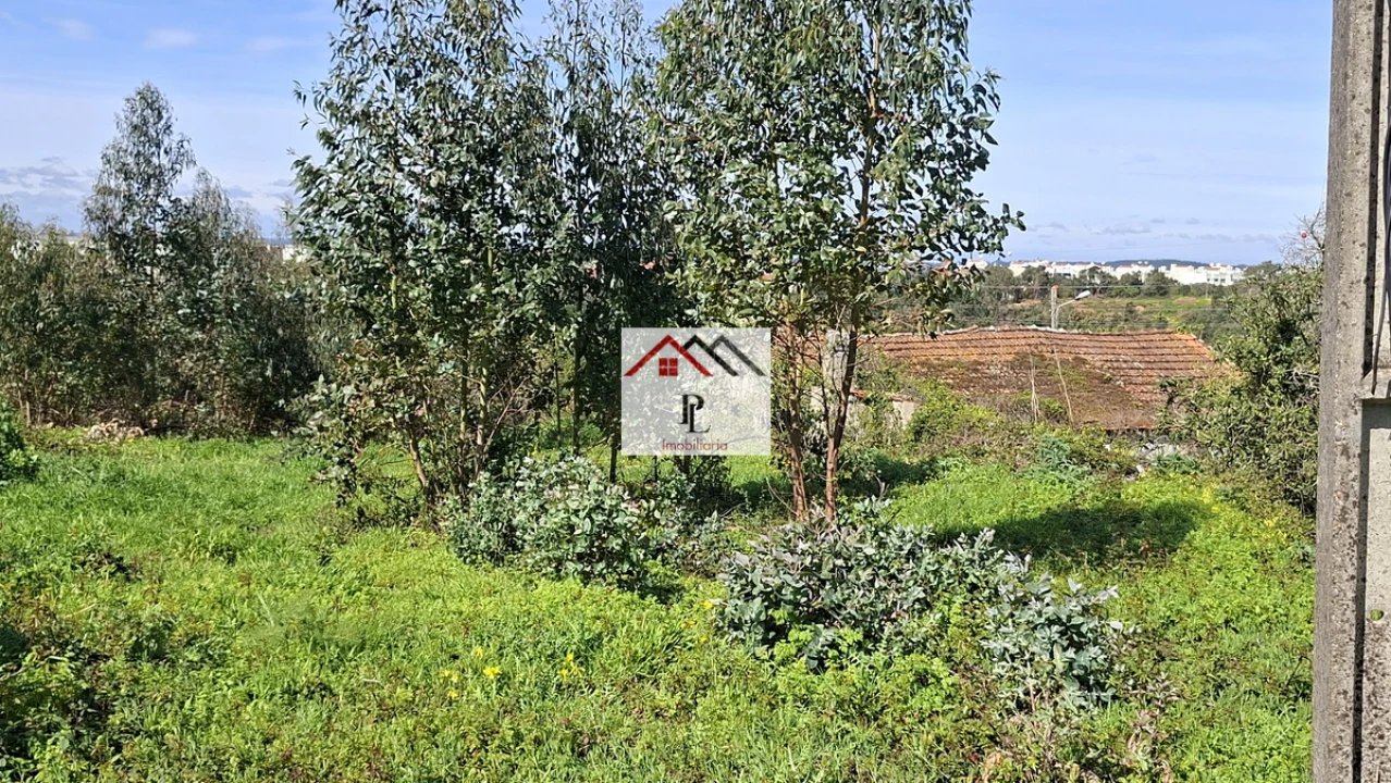 Terreno para Venda em Eiras e São Paulo de Frades Foto 7