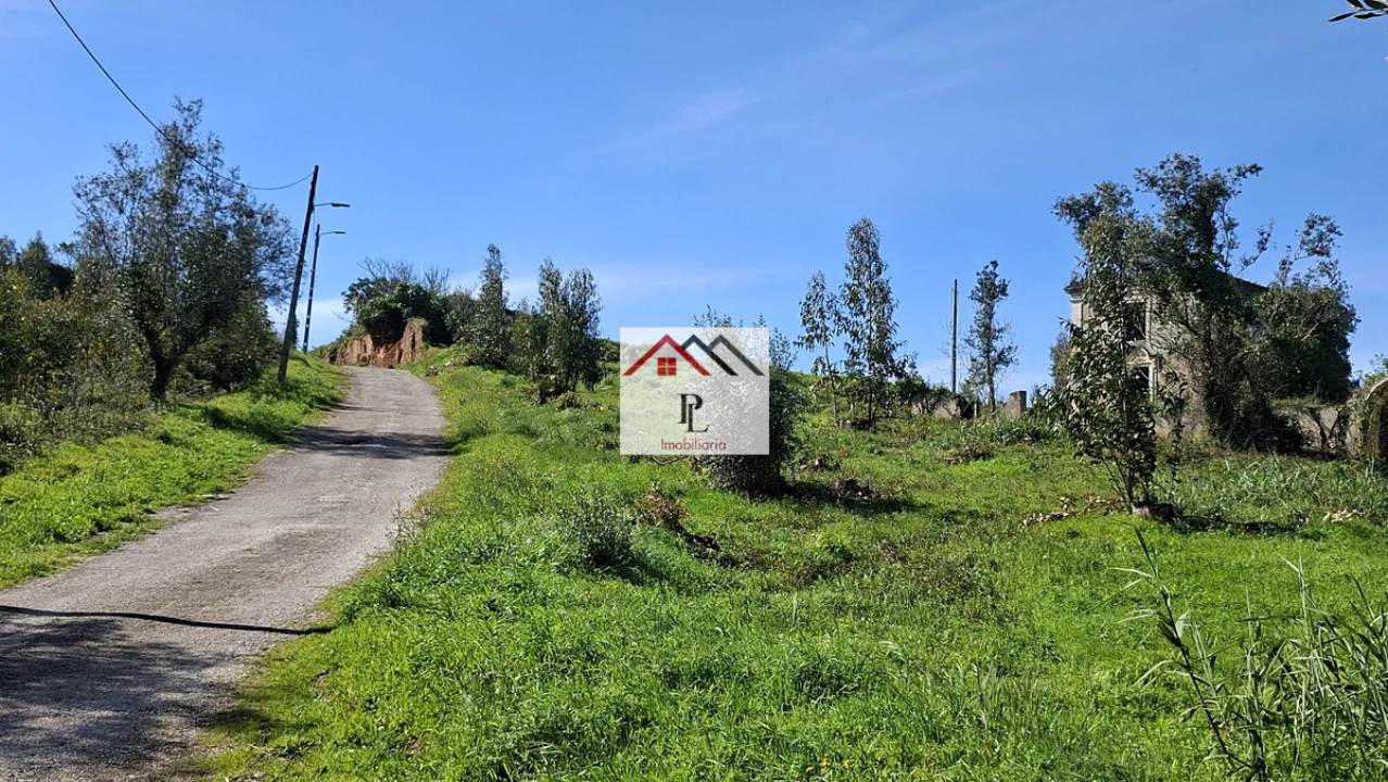 Terreno para Venda em Eiras e São Paulo de Frades Foto 4