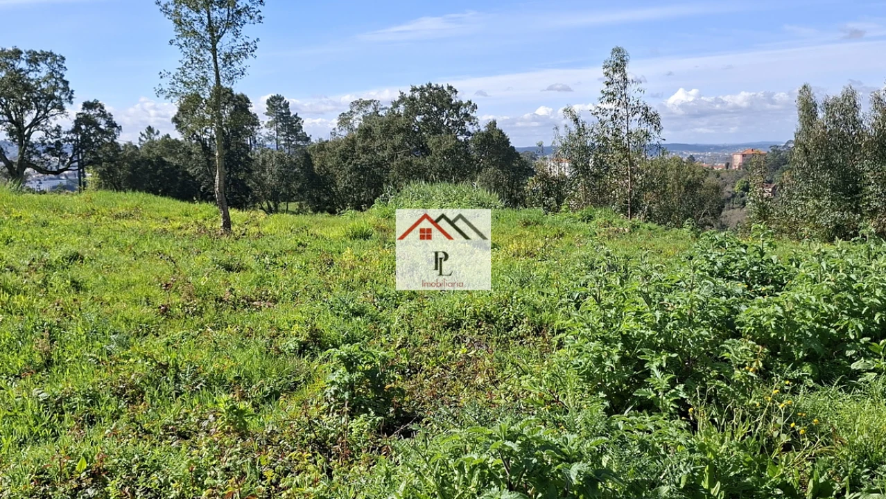 Terreno para Venda em Eiras e São Paulo de Frades Foto 9