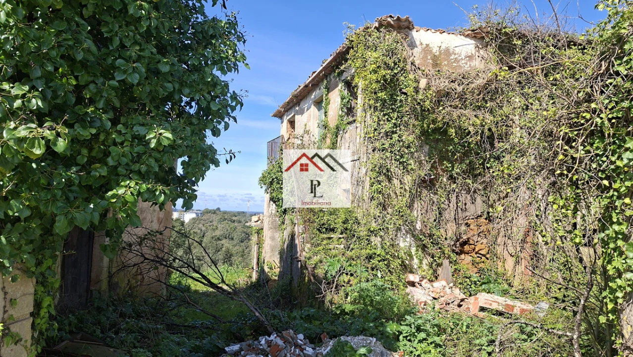 Terreno para Venda em Eiras e São Paulo de Frades Foto 16