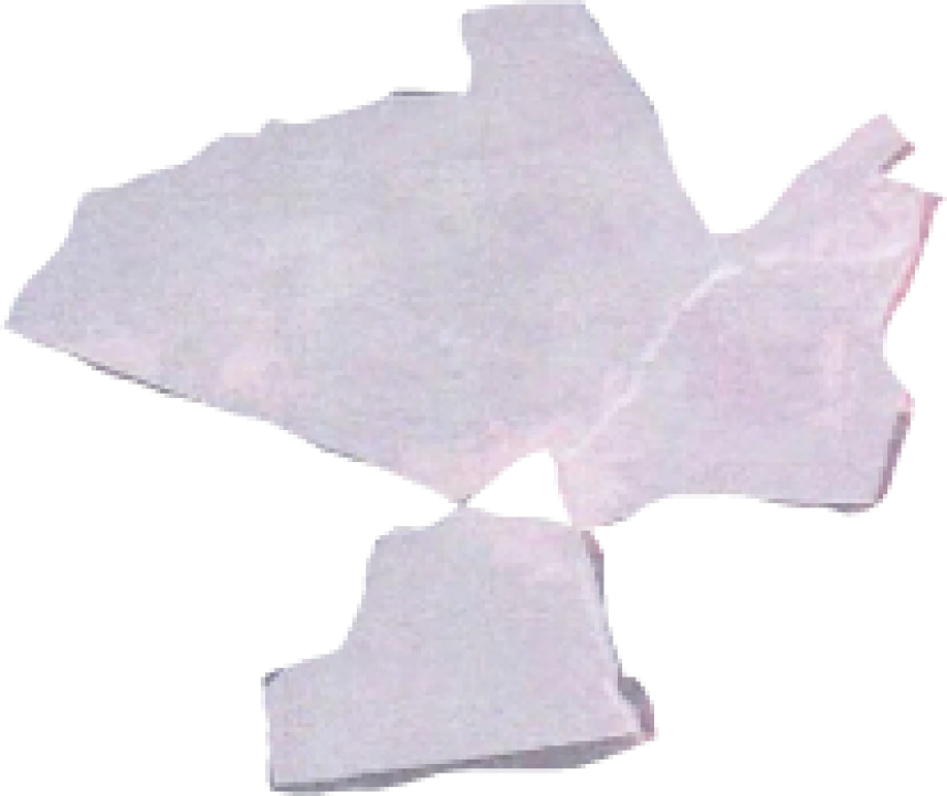 Terreno para Venda em Eiras e São Paulo de Frades Foto 19