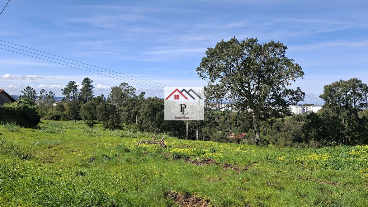 Terreno para Venda em Eiras e São Paulo de Frades Foto 14