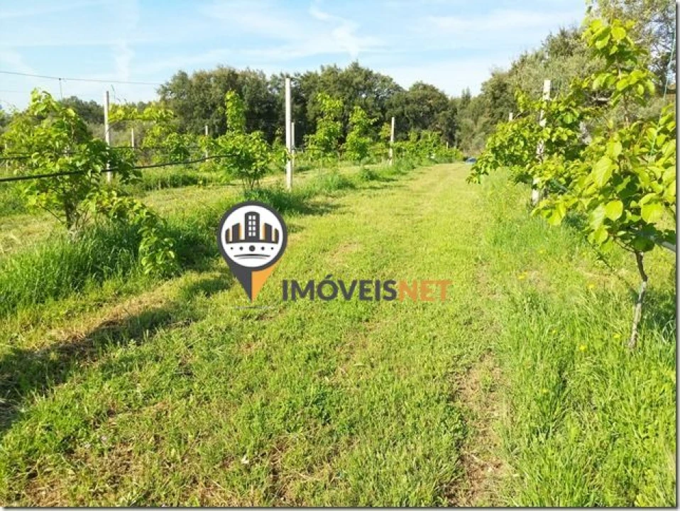 Terreno para Venda em São Vicente da Beira Foto 13