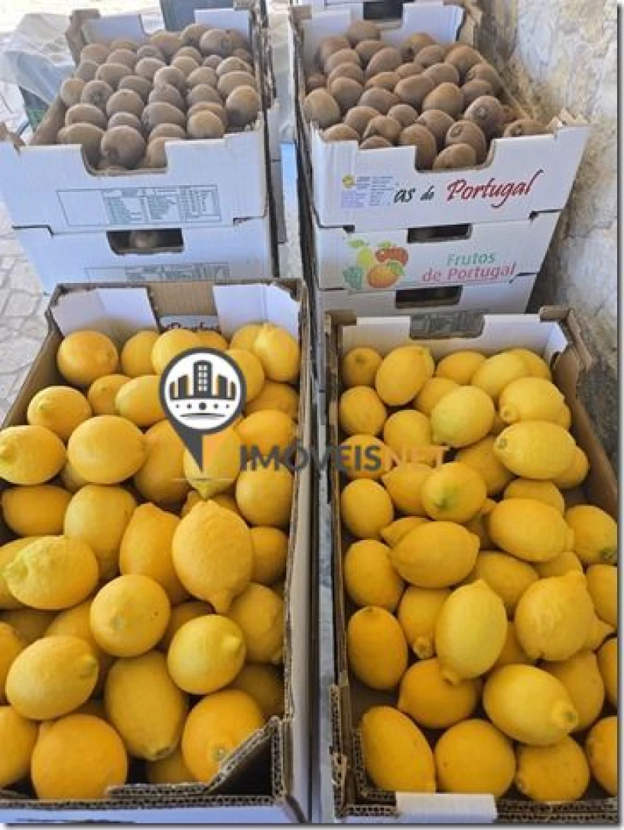 Terreno para Venda em São Vicente da Beira Foto 34