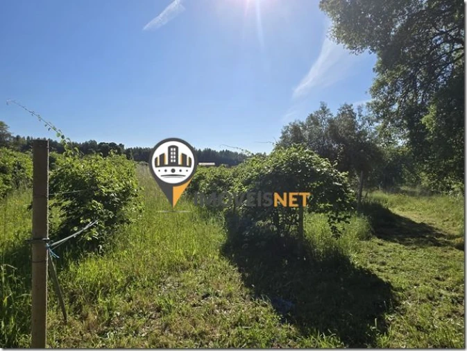 Terreno para Venda em São Vicente da Beira Foto 22