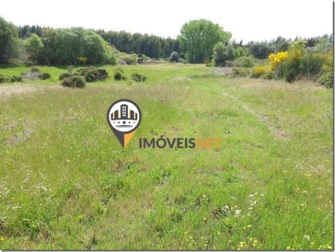 Terreno para Venda em São Vicente da Beira Foto 9