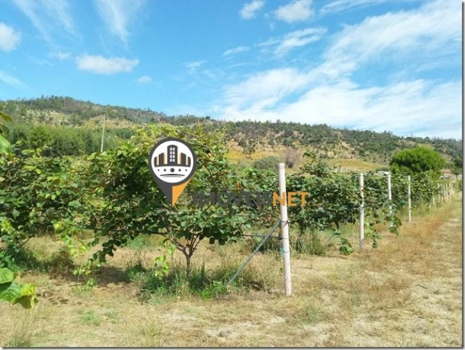 Terreno para Venda em São Vicente da Beira Foto 3