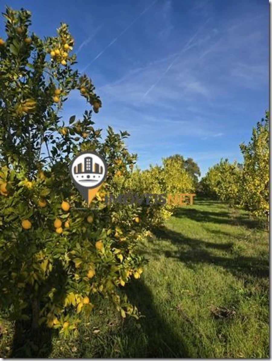 Terreno para Venda em São Vicente da Beira Foto 33
