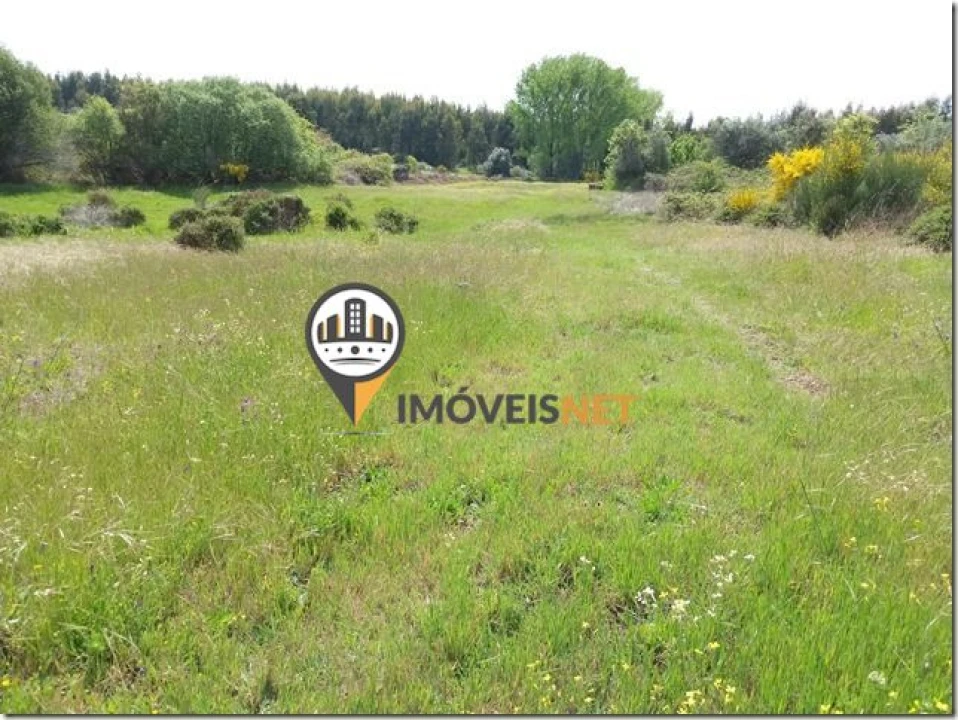 Terreno para Venda em São Vicente da Beira Foto 9