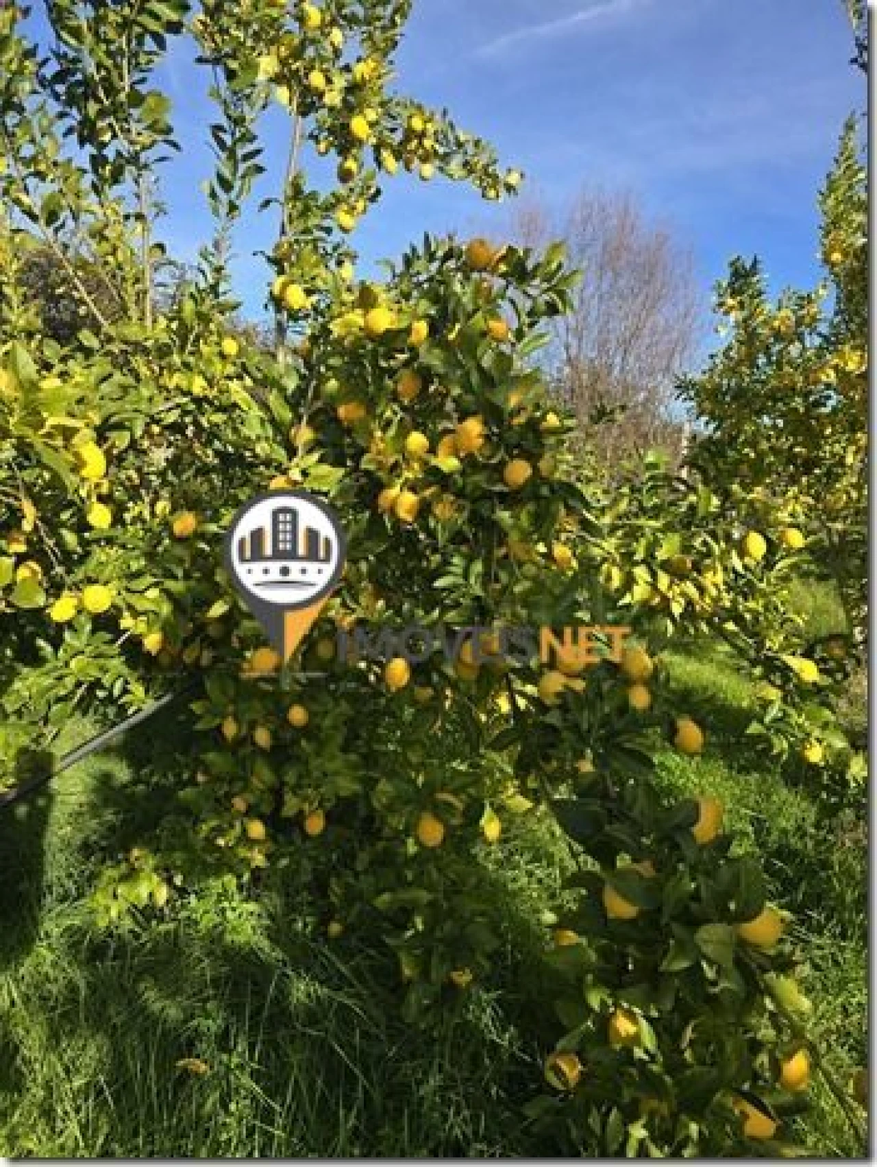 Terreno para Venda em São Vicente da Beira Foto 32