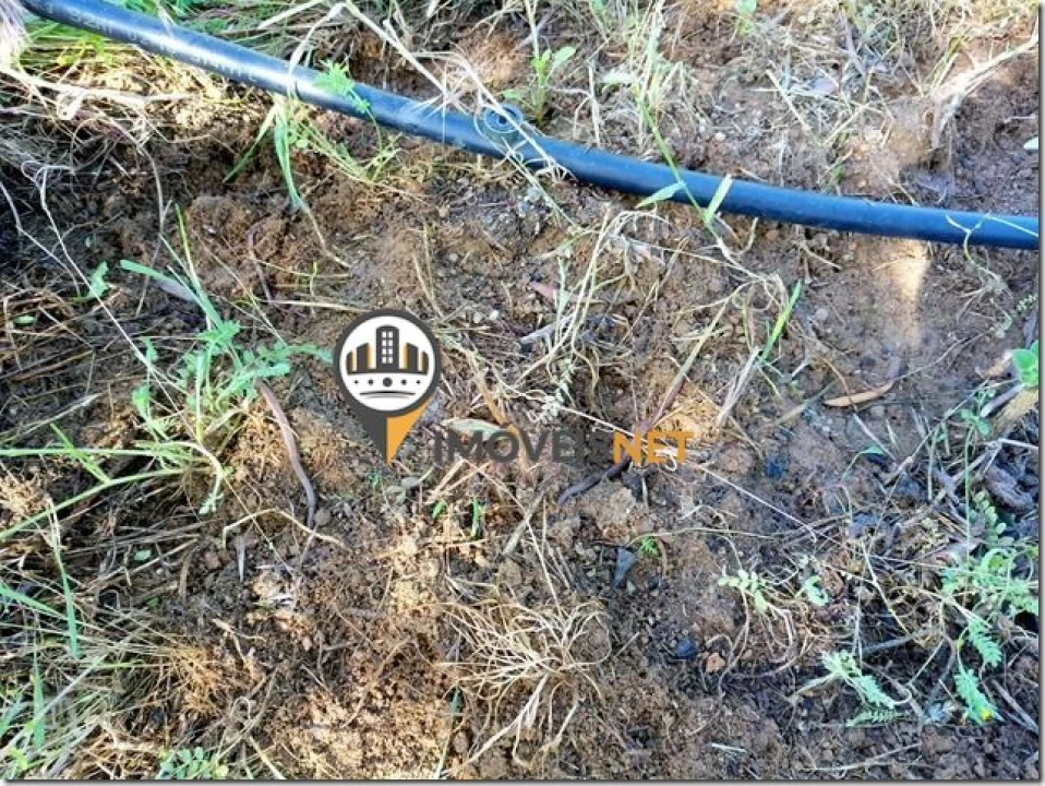 Terreno para Venda em São Vicente da Beira Foto 2