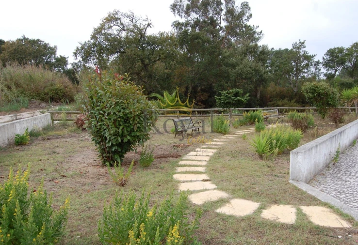 Terreno para Venda em Tornada e Salir do Porto Foto 3