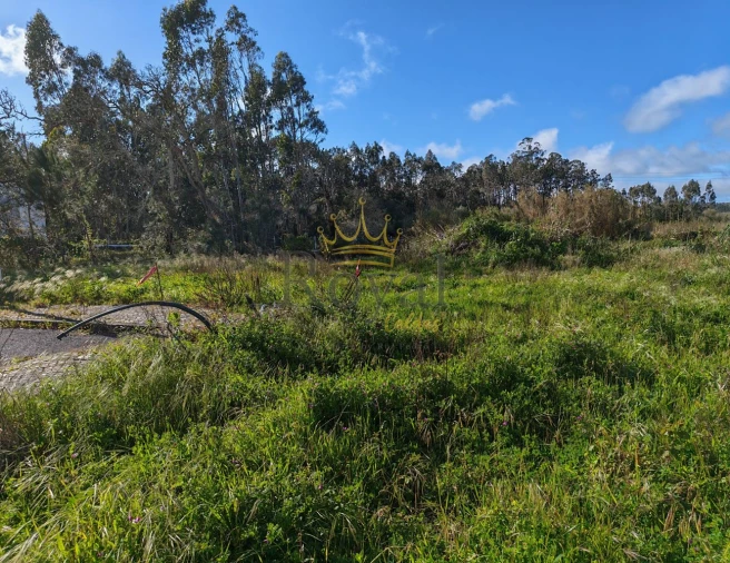 Terreno para Venda em Tornada e Salir do Porto Foto 1