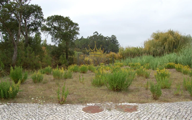 Terreno para Venda em Tornada e Salir do Porto Foto 2