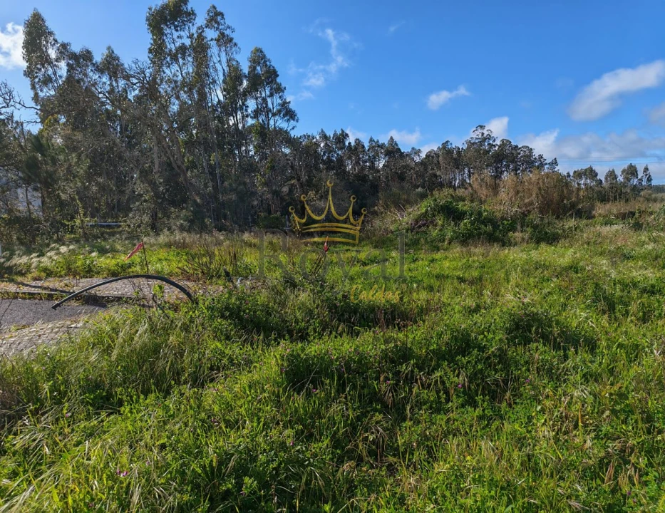 Terreno para Venda em Tornada e Salir do Porto Foto 1