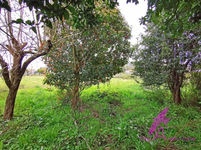 Moradia T4 para Venda em Geraz do Lima (Santa Maria, Santa Leocádia, Moreira), Deão Foto 12
