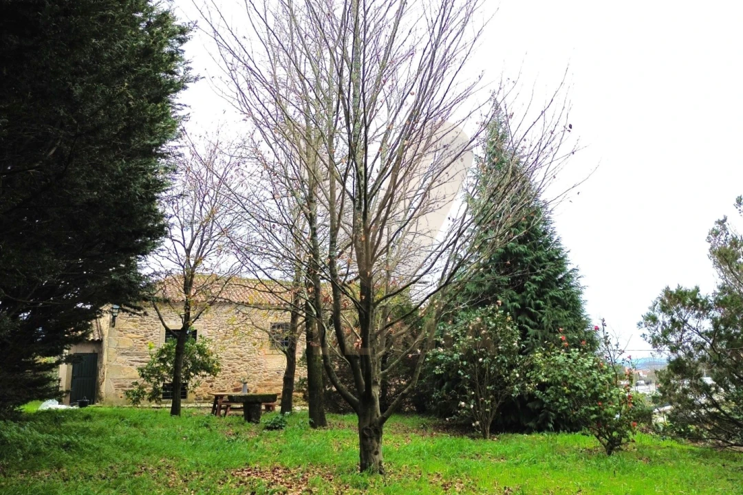 Quinta T3 para Venda em Lanheses Foto 57