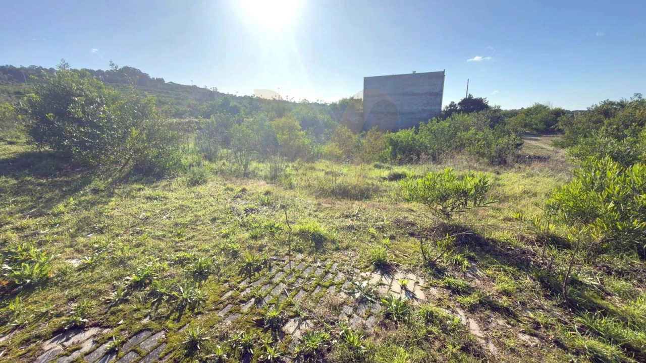 Terreno para Venda em Darque Foto 4