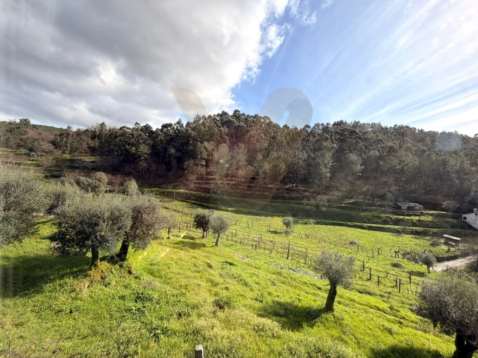 Moradia T3 para Venda em Beiral do Lima Foto 19