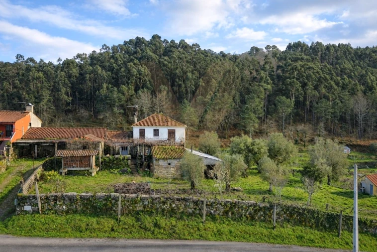 Moradia T3 para Venda em Beiral do Lima