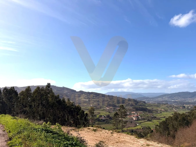 Moradia T3 para Venda em Beiral do Lima Foto 21