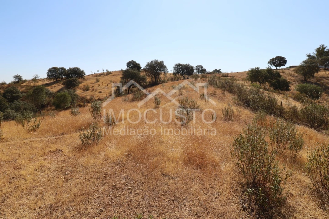 Terreno Agricola ou Rústico para Venda em Odeleite Foto 6
