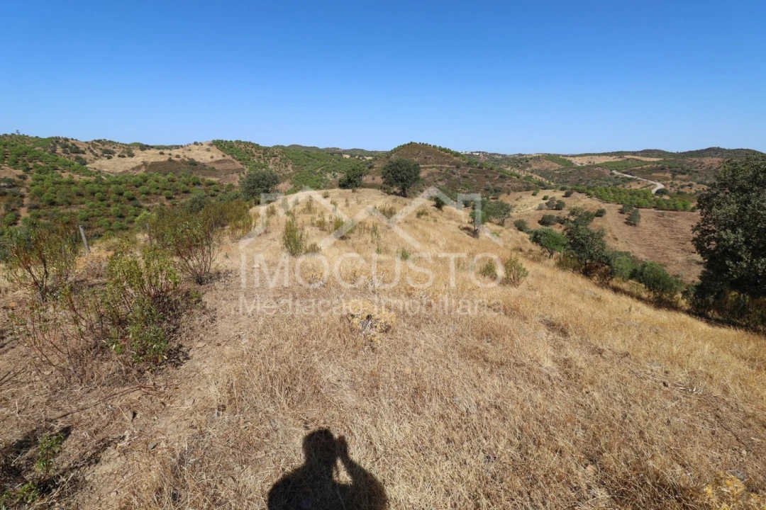 Terreno Agricola ou Rústico para Venda em Odeleite Foto 10