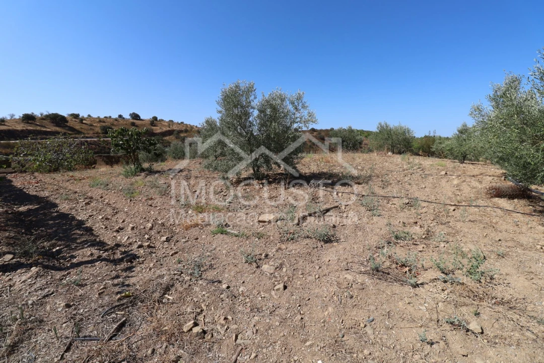 Terreno Agricola ou Rústico para Venda em Odeleite Foto 21