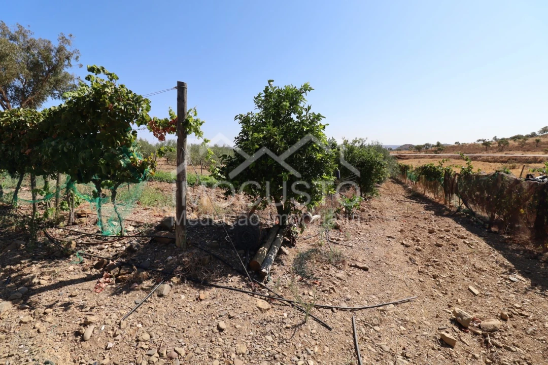 Terreno Agricola ou Rústico para Venda em Odeleite Foto 22