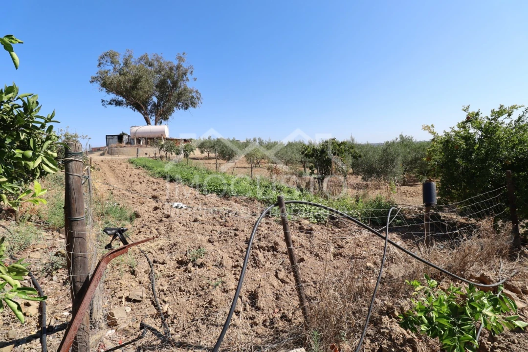 Terreno Agricola ou Rústico para Venda em Odeleite Foto 23