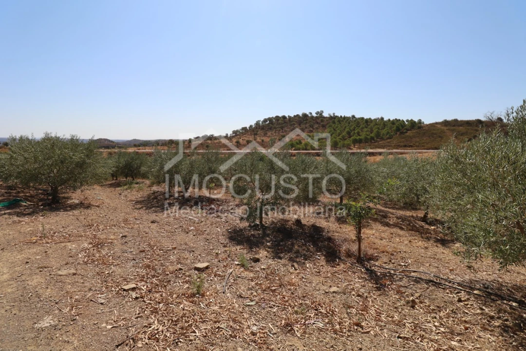 Terreno Agricola ou Rústico para Venda em Odeleite Foto 26