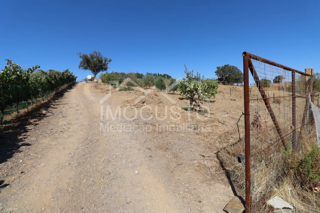 Terreno Agricola ou Rústico para Venda em Odeleite Foto 29