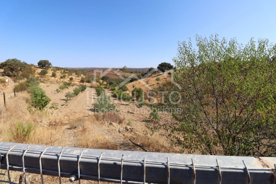 Terreno Agricola ou Rústico para Venda em Odeleite Foto 30