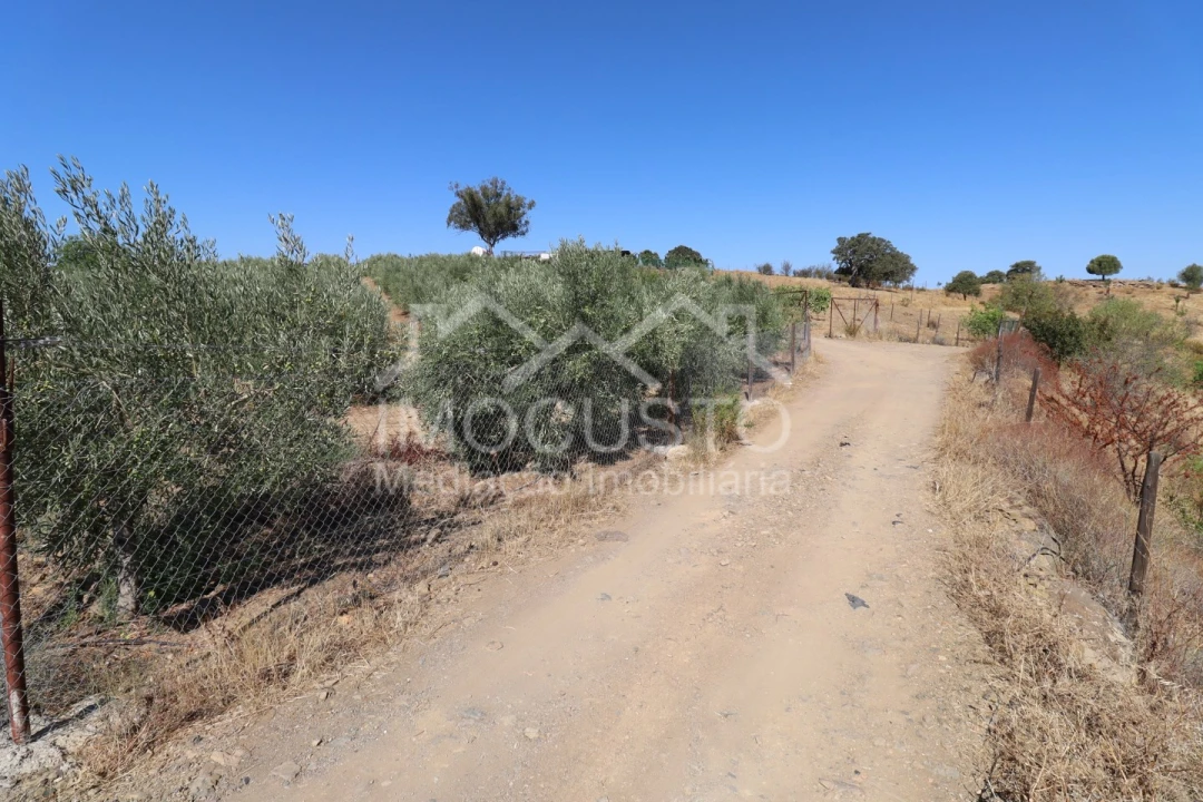 Terreno Agricola ou Rústico para Venda em Odeleite Foto 33