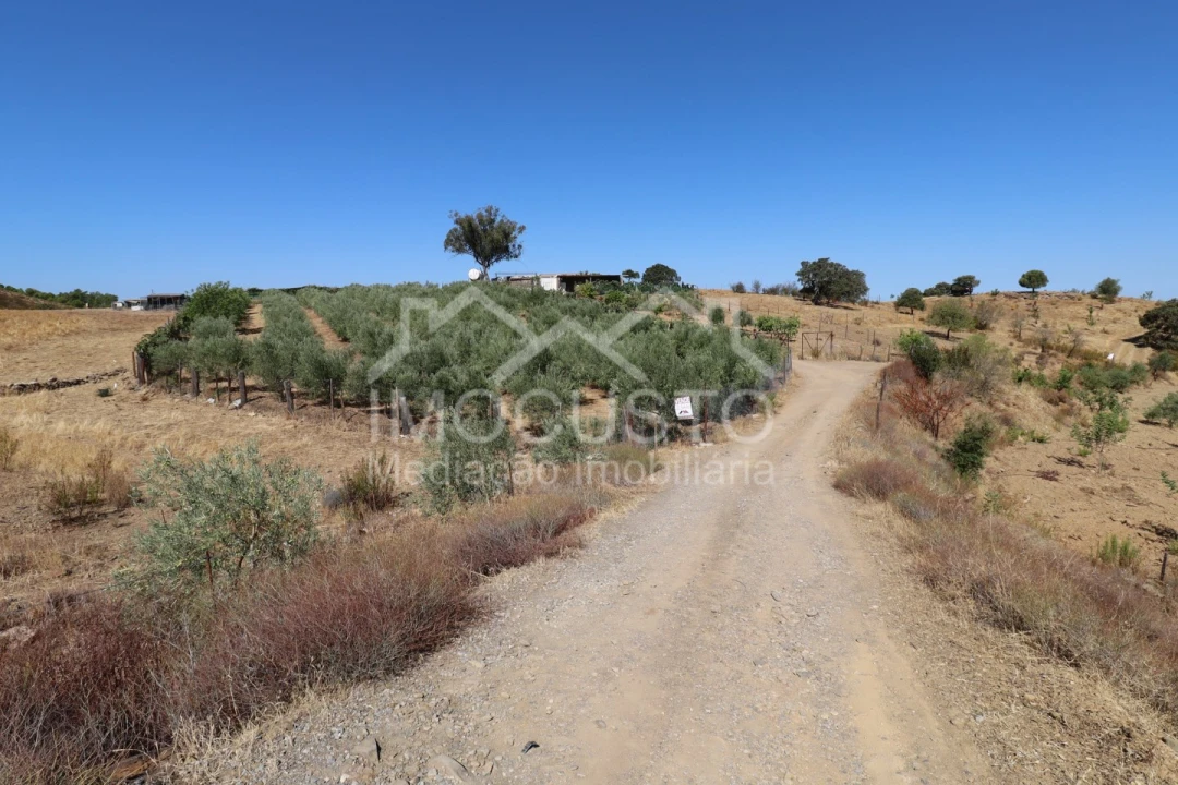 Terreno Agricola ou Rústico para Venda em Odeleite Foto 34
