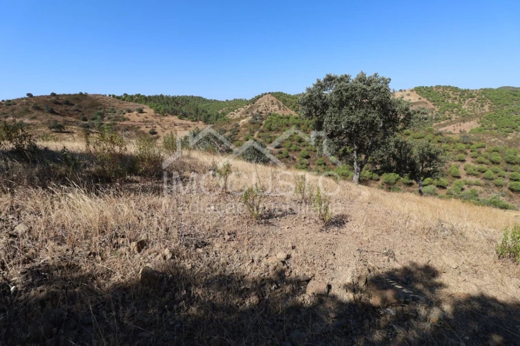 Terreno Agricola ou Rústico para Venda em Odeleite Foto 2