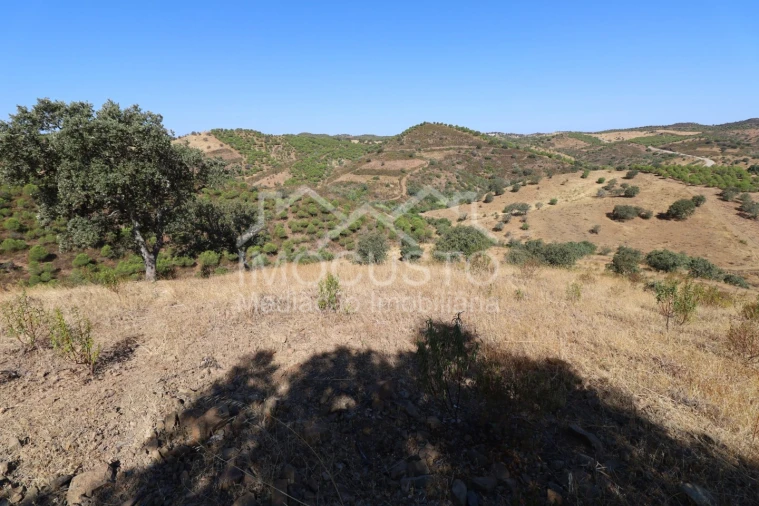 Terreno Agricola ou Rústico para Venda em Odeleite Foto 3