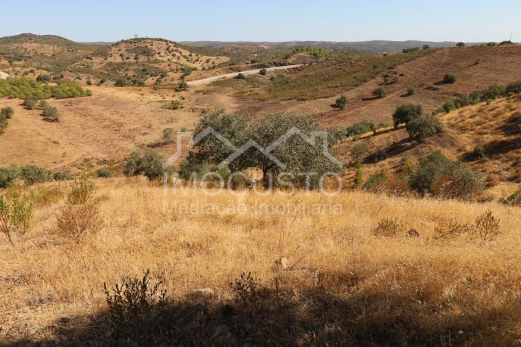 Terreno Agricola ou Rústico para Venda em Odeleite Foto 4