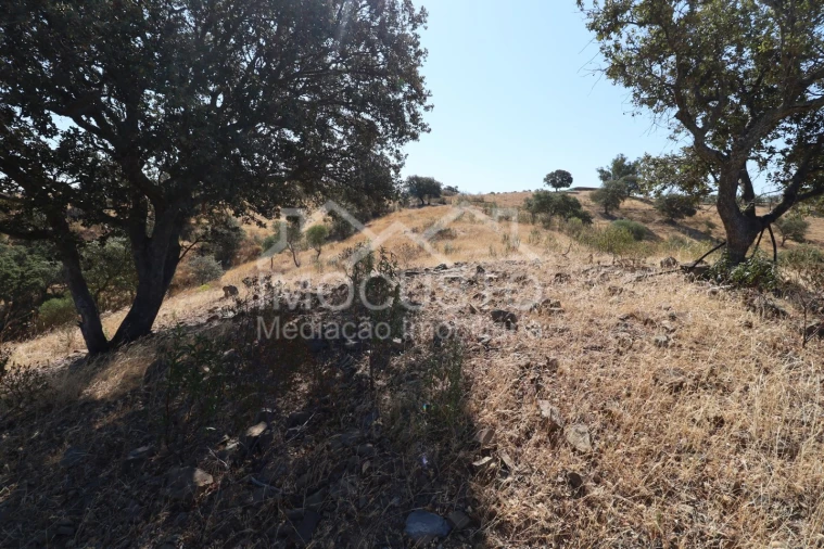 Terreno Agricola ou Rústico para Venda em Odeleite Foto 5