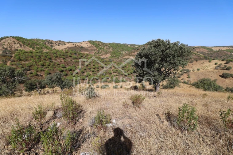 Terreno Agricola ou Rústico para Venda em Odeleite Foto 7
