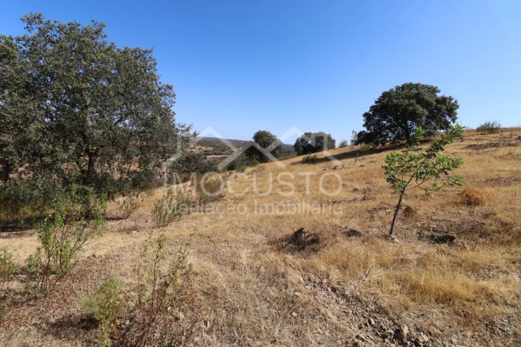 Terreno Agricola ou Rústico para Venda em Odeleite Foto 9