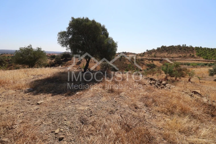 Terreno Agricola ou Rústico para Venda em Odeleite Foto 15