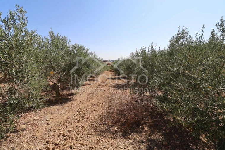 Terreno Agricola ou Rústico para Venda em Odeleite Foto 24
