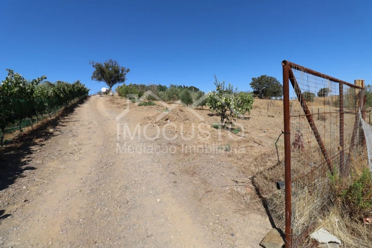 Terreno Agricola ou Rústico para Venda em Odeleite Foto 29
