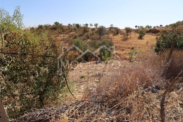Terreno Agricola ou Rústico para Venda em Odeleite Foto 31