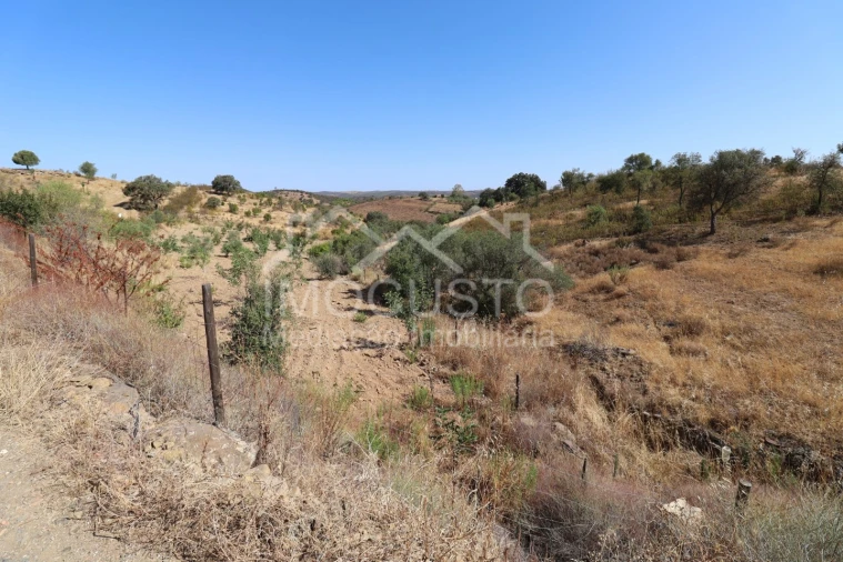 Terreno Agricola ou Rústico para Venda em Odeleite Foto 32
