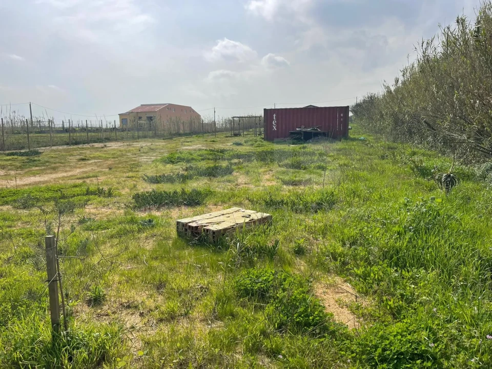 Terreno para Venda em Ferrel Foto 11